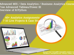 Why Business Analytics Professionals Will Be Highly Sought After in 2025, 100% Job, “MIS Course in Delhi”, 110087 – by SLA Consultants India