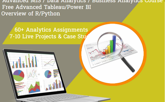 Why Business Analytics Professionals Will Be Highly Sought After in 2025, 100% Job, “MIS Course in Delhi”, 110087 – by SLA Consultants India