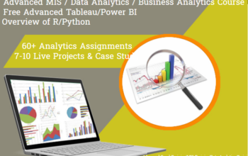 The Future of Data Analyst Job Prospects & Skills Needed in 2025, 100% Job, MIS Course in Delhi, 110007 – by SLA Consultants India, Free Power BI Certification,