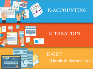 Accounting Course with GST in Delhi, Independence Day Offer till 15 Aug, Free SAP FICO Certification by SLA Consultants India,