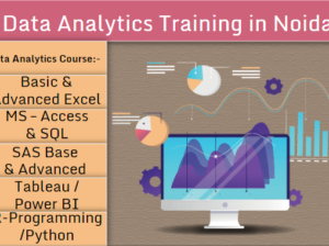 Live online Data Analytics classes Noida, Excel, VBA, SQL, Power BI, and Free Data Science Certification till 30 Aug 2025, by “SLA Consultants Noida”